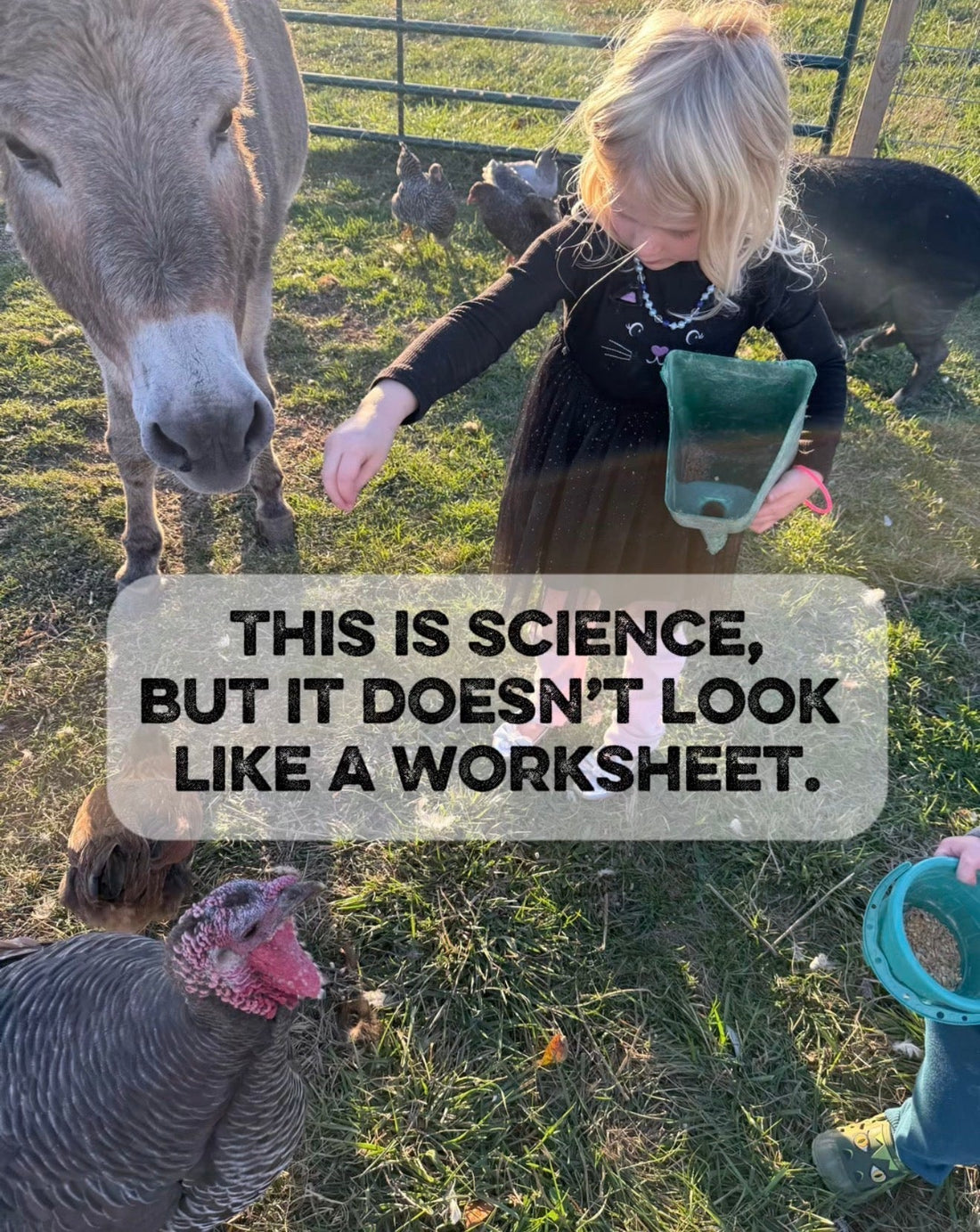 Bringing the Farm to Your Living Room: A New Way to Explore Nature Science