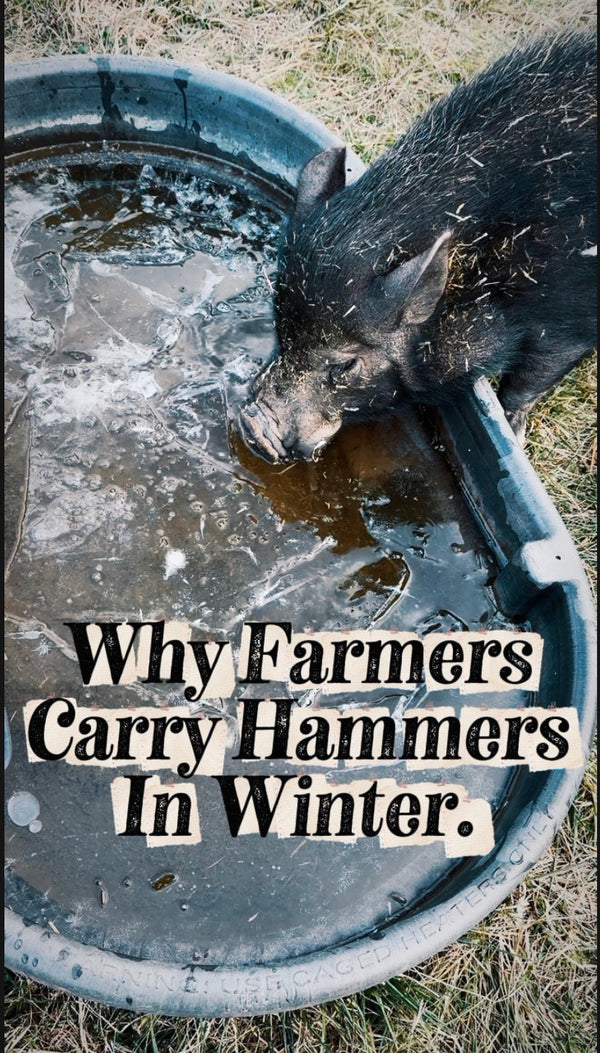 Why Farmers Carry Hammers in Winter (And What It Teaches Your Child)