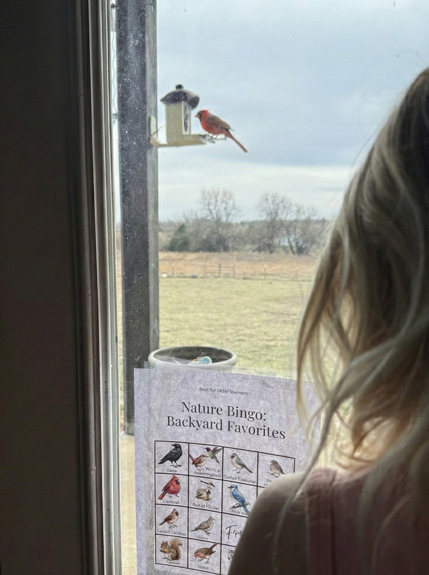 The Quiet Watcher: Windowside Bird Bingo & Observation Set