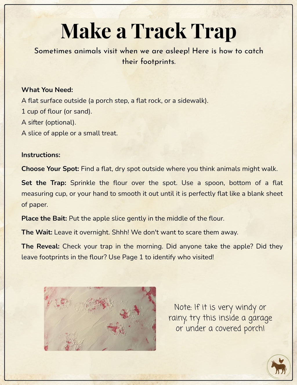 Free Animal Track Explorer Pack