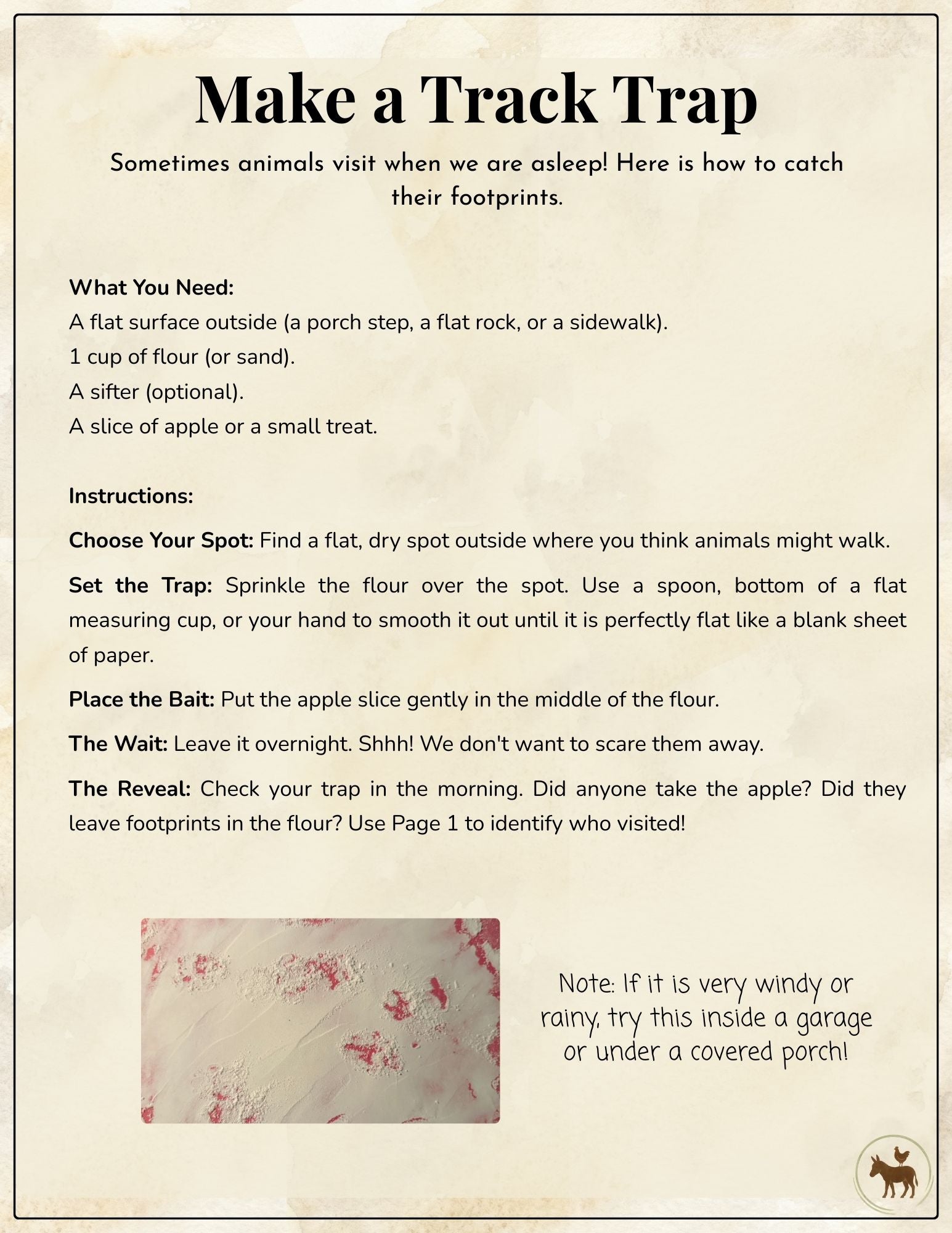 Free Animal Track Explorer Pack