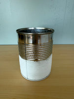 Water & Ice: A Hands-On Winter Science Lab for PreK–2