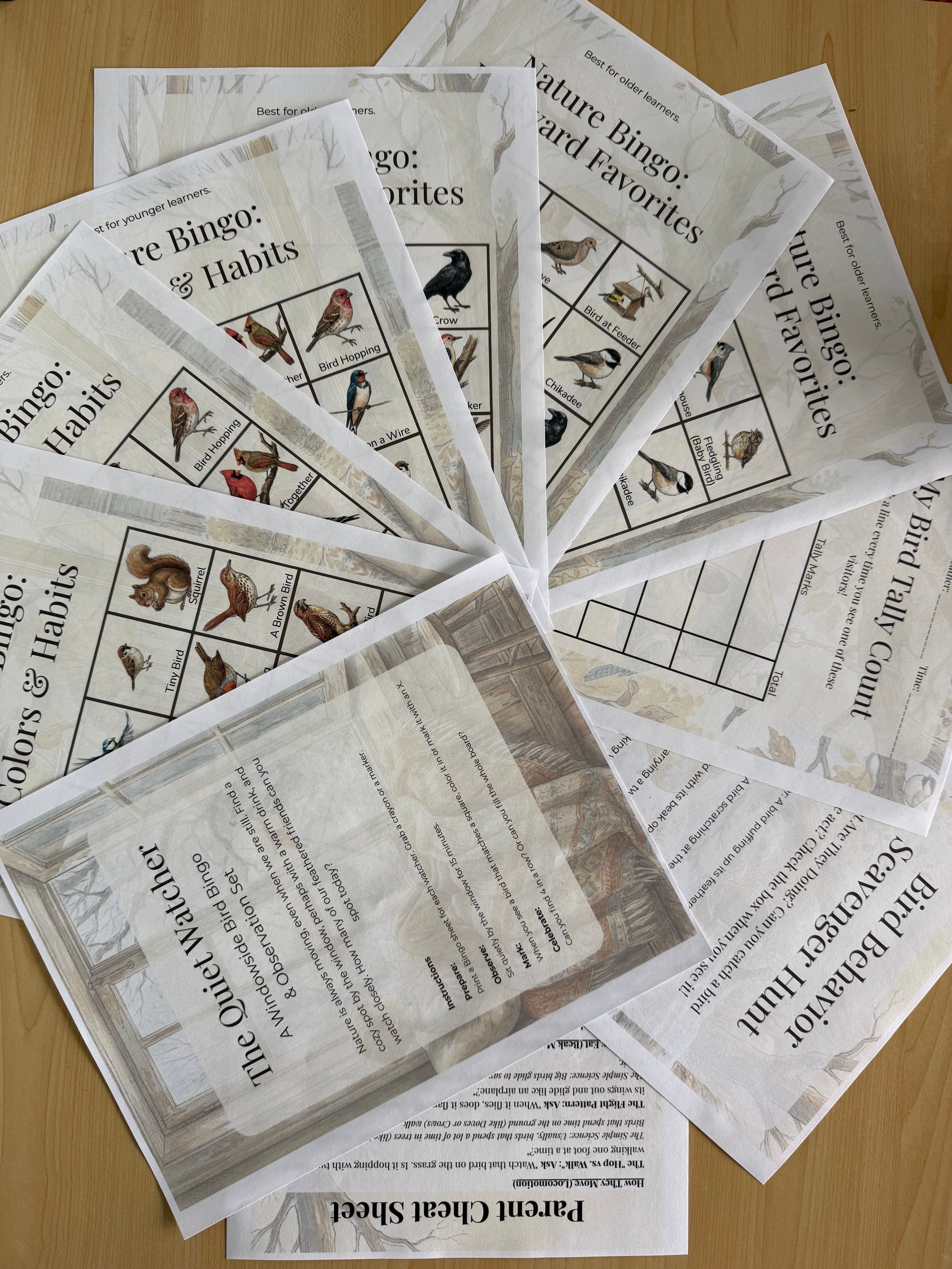 The Quiet Watcher: Windowside Bird Bingo & Observation Set