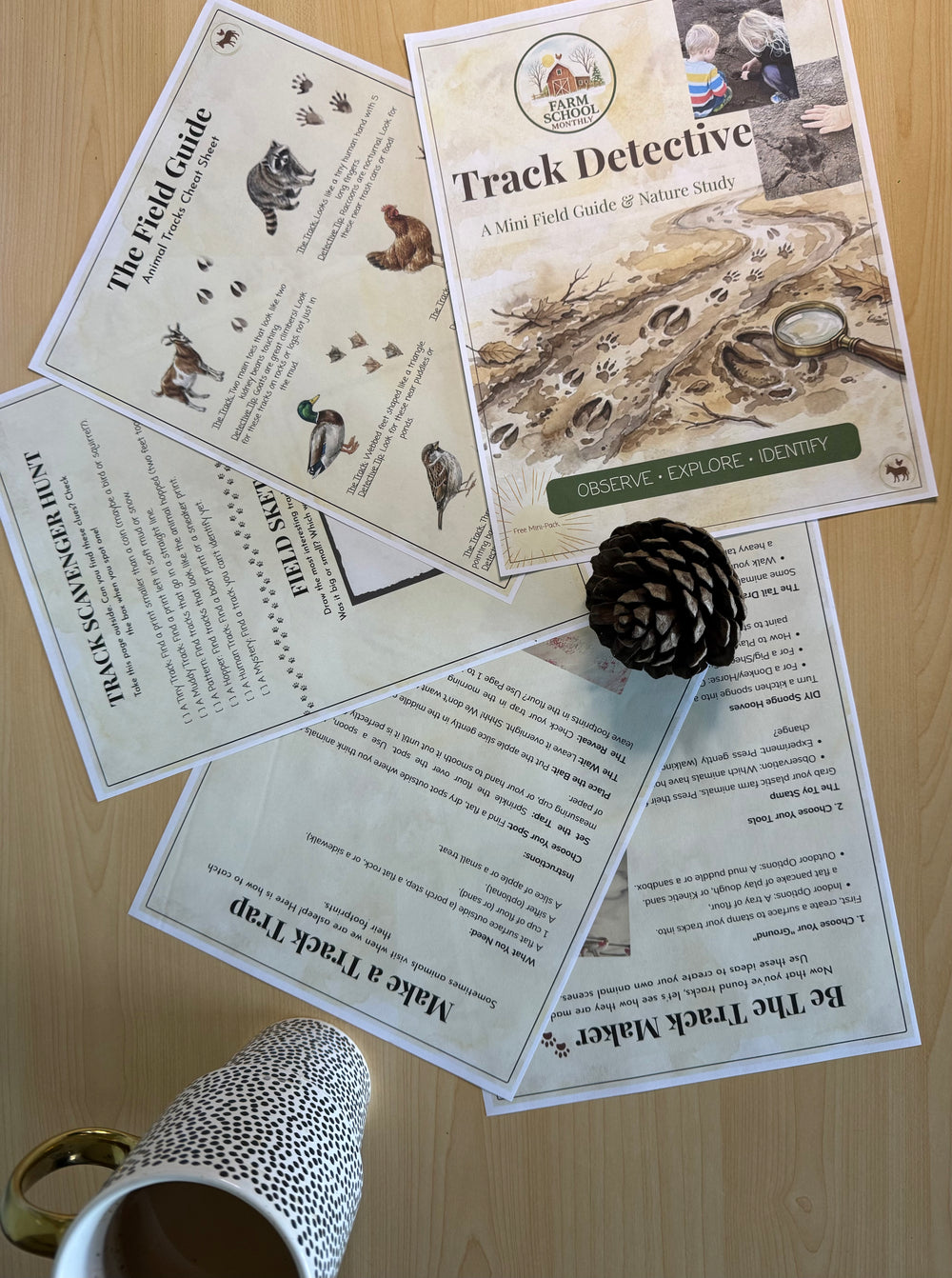 Winter on the Farm homeschool curriculum cover illustration featuring a child sitting in the snow with a donkey and chickens.