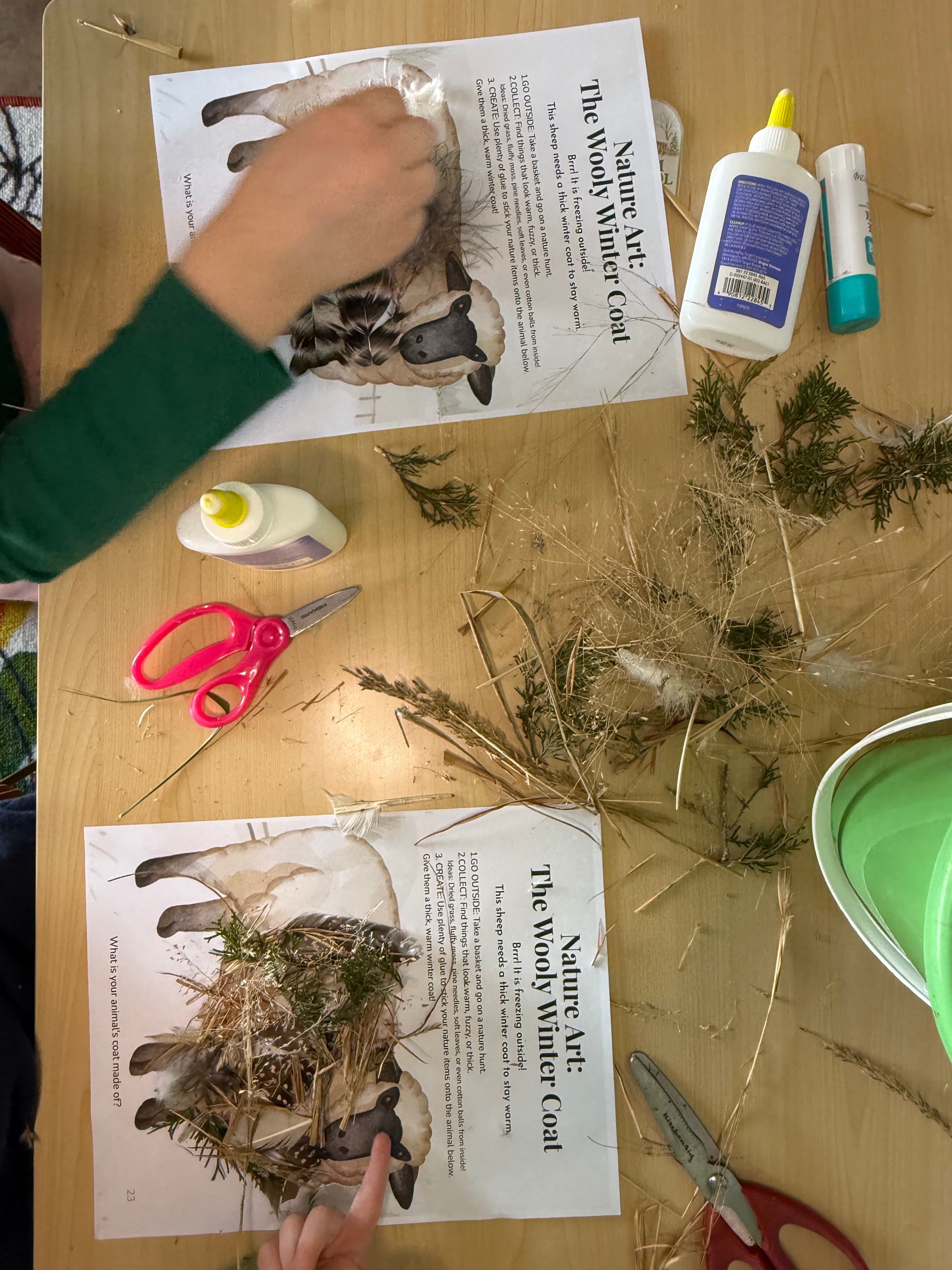 Winter on the Farm: A PreK–2 Hands-On Nature Study | Science Unit